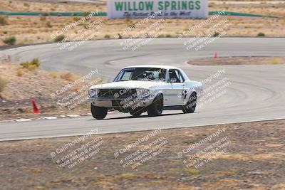 media/Oct-25-2025-West Coast Racing (Sat) [[9fdcbcd09c]]/Yellow group/Turn 4/